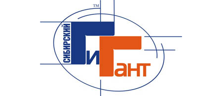 Торговый Холдинг «Сибирский Гигант» Торговый Холдинг «Сибирский Гигант»